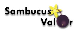 sabugueiro